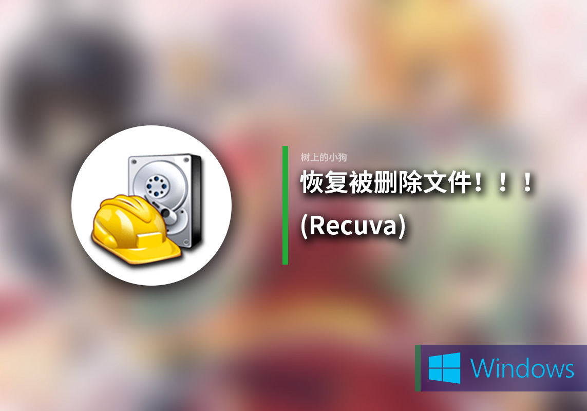 【PC/工具】免费恢复被删除文件！！！数据恢复工具 Recuva V1.53.0.2083