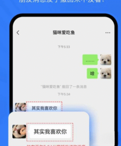【安卓】消息防撤回-玄夜の资源小站 - 获取千万好用软件游戏以及动漫推荐