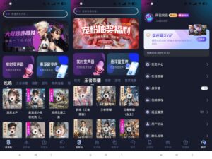 手游语音变声器-实时变声解锁会员-玄夜の资源小站 - 获取千万好用软件游戏以及动漫推荐