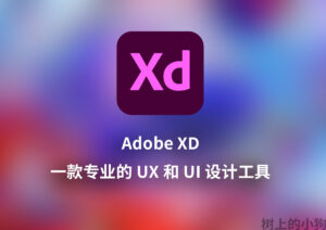【PC/设计】Adobe XD 2025 专业UI设计工具 最新 V 58.0.12-玄夜の资源小站 - 获取千万好用软件游戏以及动漫推荐