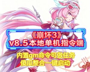 《崩坏3》8.5本地单机指令端 - 玄夜の资源小站 - 获取千万好用软件游戏以及动漫推荐-玄夜の资源小站 - 获取千万好用软件游戏以及动漫推荐