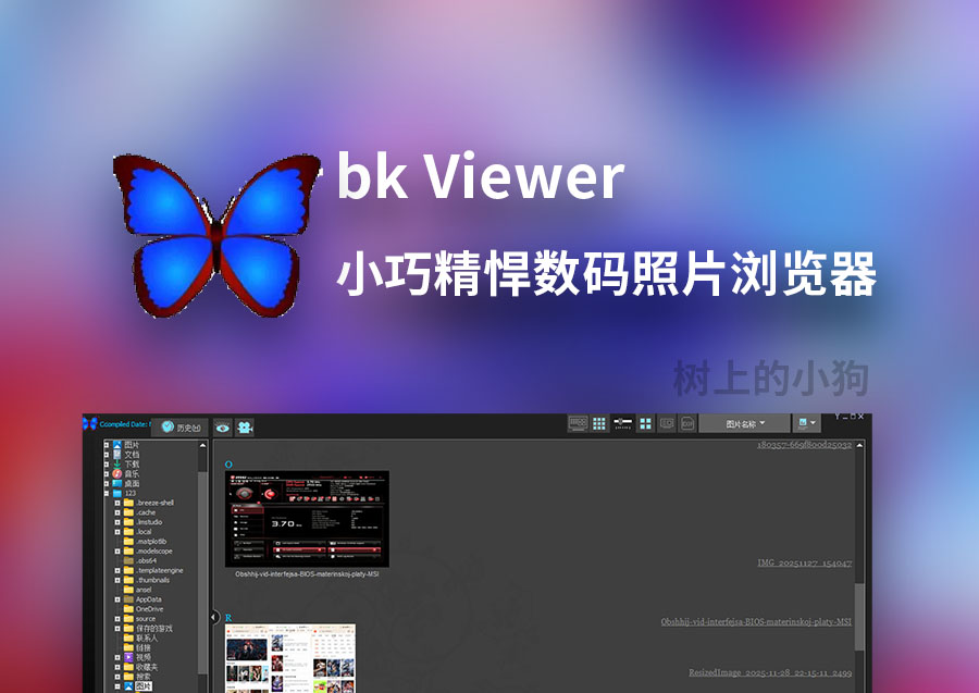 【PC/图片】小巧精悍数码照片浏览器 bk Viewer v8.2e 中文 / 免安装