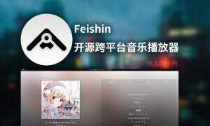 【PC/音乐】跨平台音乐播放器 Feishin 更新 V1.6.0 滚动字幕 | 远程链接 | 自动获取封面 MacOS / Windows-玄夜の资源小站 - 获取千万好用软件游戏以及动漫推荐