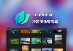 【PC/图片】轻量级图片查看器 LeafView v3.9.3 中文 / 免安装-玄夜の资源小站 - 获取千万好用软件游戏以及动漫推荐