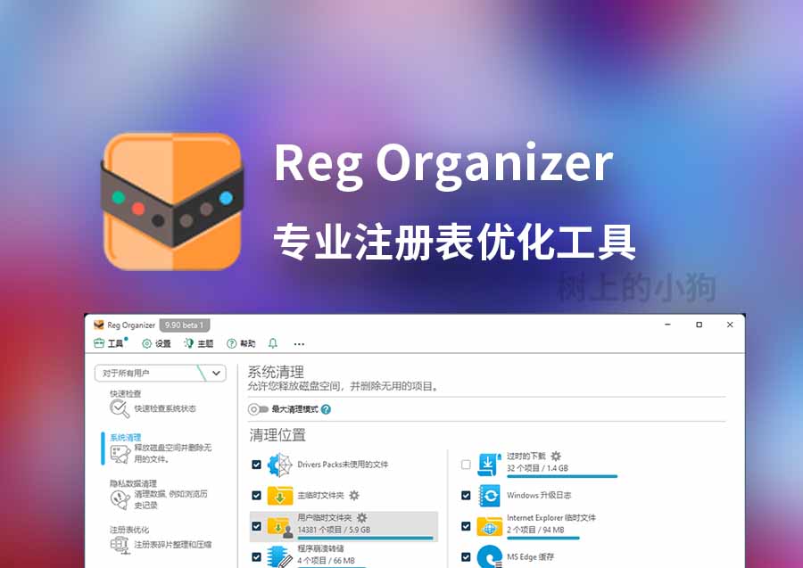 【PC/工具】专业注册表优化 Reg Organizer V9.90 beta1 中文 | 免安装