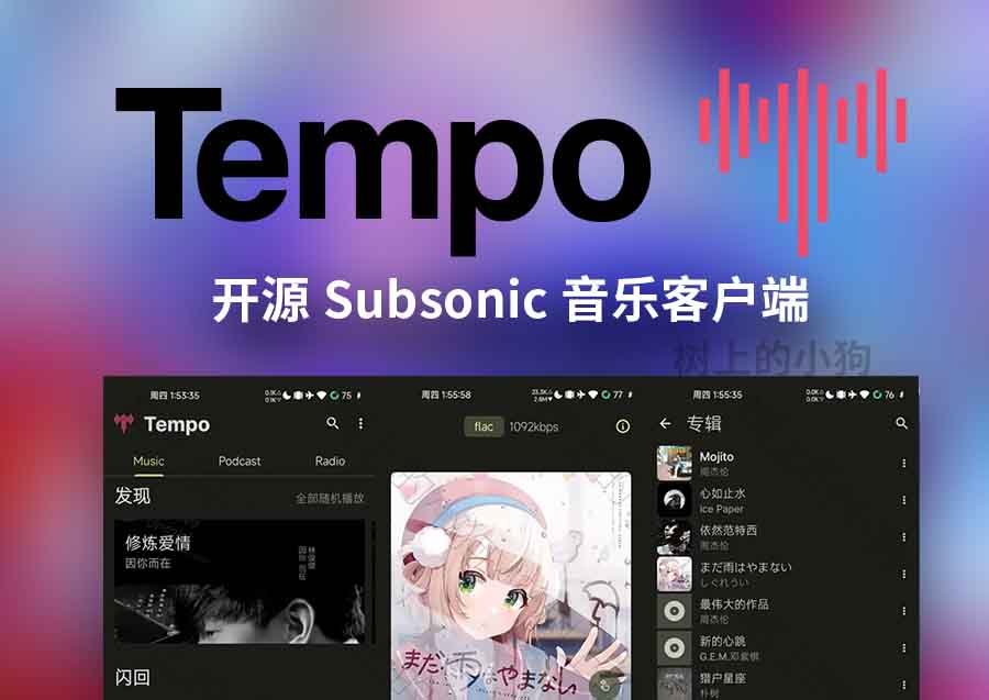 【安卓/音频】开源轻量音乐客户端 Tempo v3.9.0