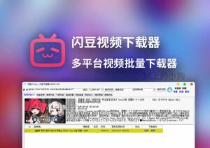 【PC/工具】多平台视频批量下载 闪豆视频下载器 更新 2026.02.11 去升级 | 优化版-玄夜の资源小站 - 获取千万好用软件游戏以及动漫推荐
