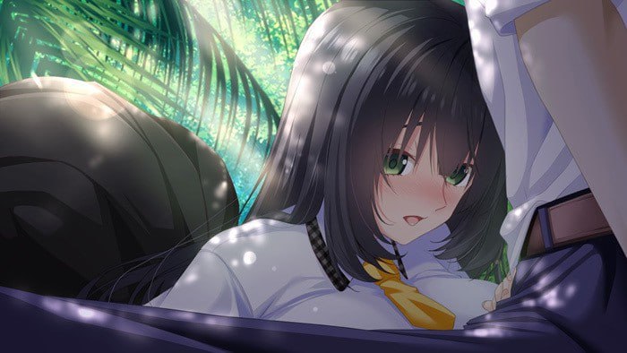 南国监狱～关于漂流到的无人岛变成了不生孩子就无法离开的岛这件事～