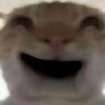 luzhijun的头像-玄夜の资源小站 - 获取千万好用软件游戏以及动漫推荐