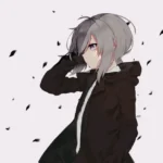 Nonna9965的头像-Sakuraxy