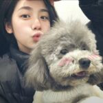 ShangGuan0616的头像-玄夜の资源小站 - 获取千万好用软件游戏以及动漫推荐