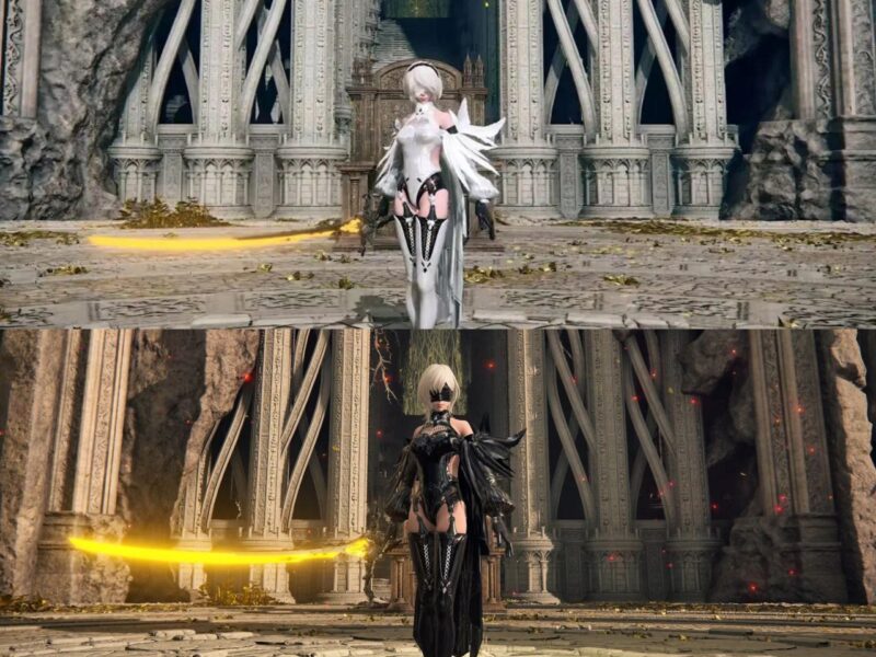 《艾尔登法环》最新Mod整合-Sakuraxy