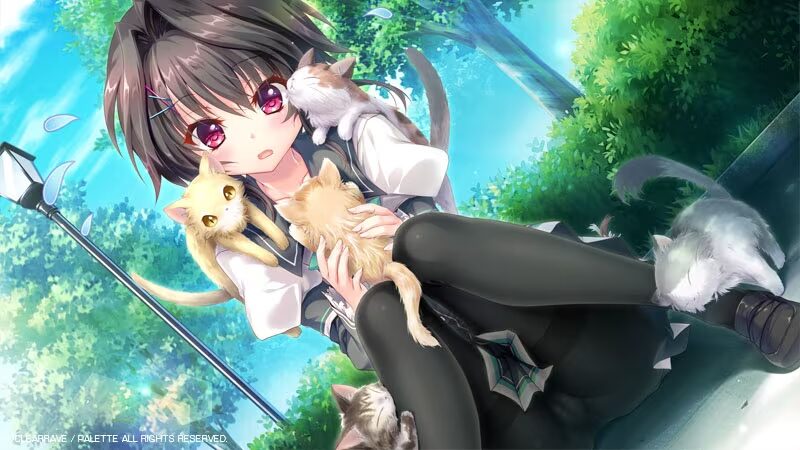 图片[2]-【ADV/PC+KR/汉化】9-nine-雪色雪花雪之痕 9 -Nine- Episode 4: Yuki Noa - Sakuraxy-Sakuraxy