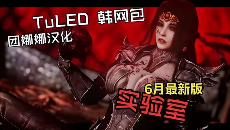 《上古卷轴5》TuLED 1.0.3韩网汉化Mod整合包-Sakuraxy