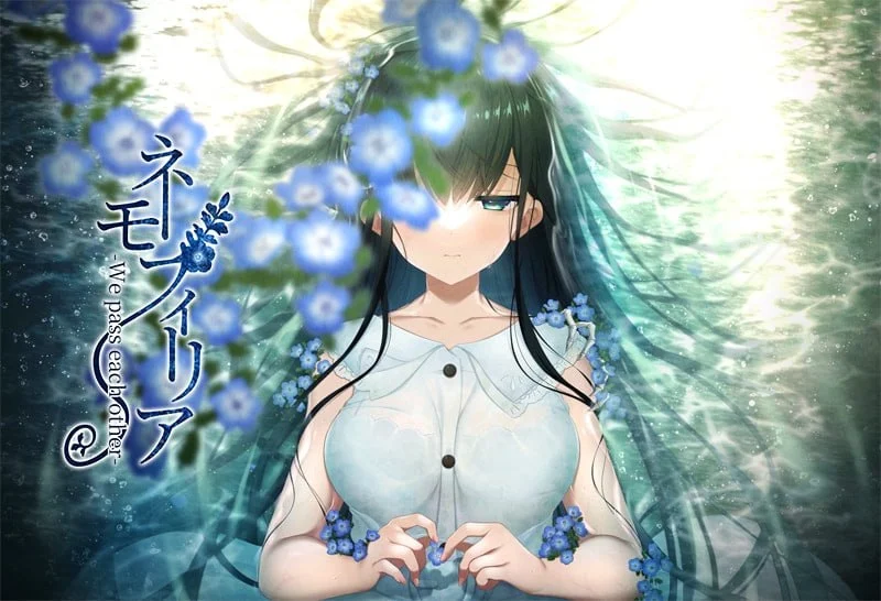 [ADV/纯爱]喜林草 -我们擦肩而过- ネモフィリア -We pass each other- v1.30 AI汉化-Sakuraxy