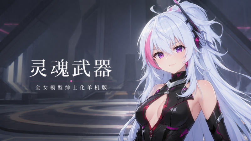 《灵魂武器》全女模型改造绅士化单机版-SakuraXy