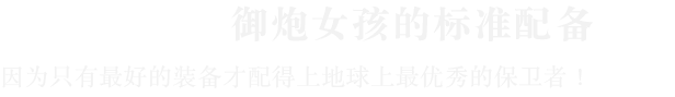 图片[4]-【3D/PC/官中】御炮少女 Turret Girls v062526 - SakuraXy-SakuraXy