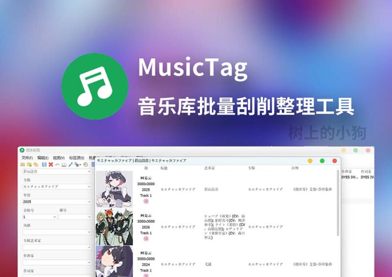 MusicTag (音乐标签) 音乐库批量刮削 | 补全封面 | 内嵌歌词 | 专辑分类 v1.0.9.0-SakuraXy